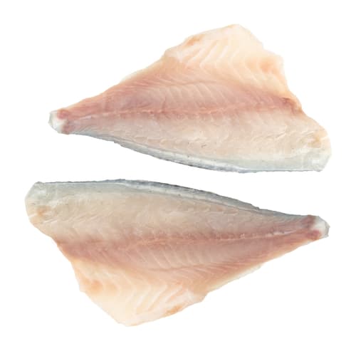 FJORU ASC Wolfsbarsch Filet mit Haut