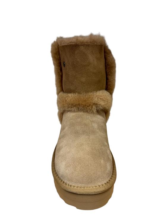 Warmbat KNG3761 Cognac