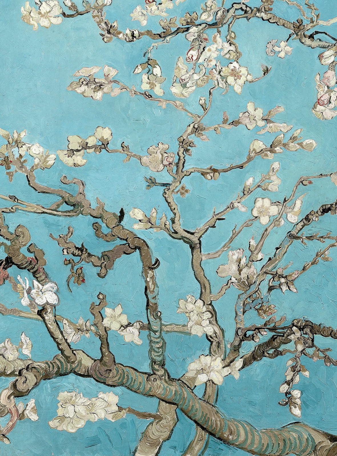 Fototapete DESIGNWALLS 2.0 - blau-grau - Kirschblüte - 2,6 Meter