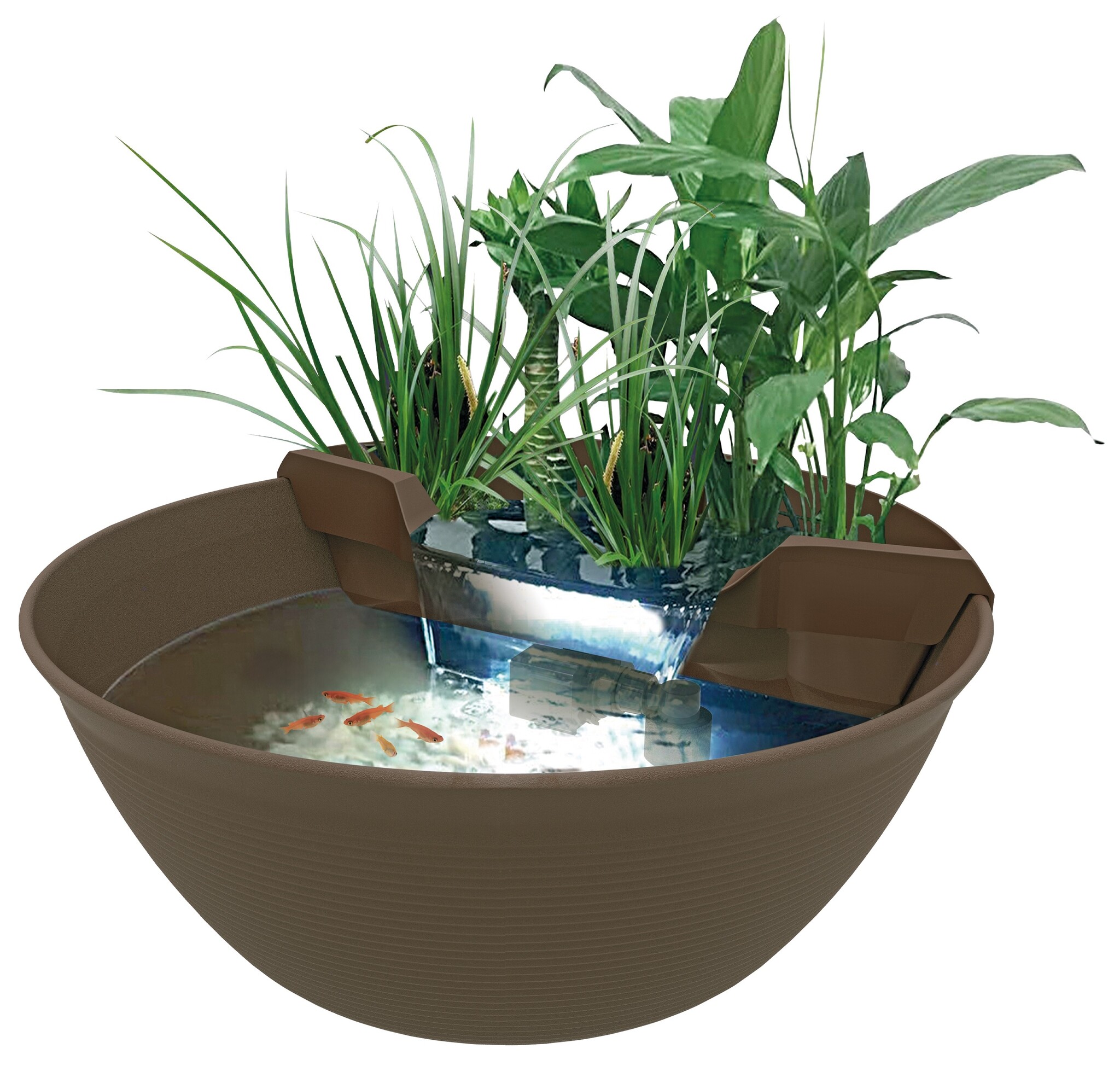 Superfish Mini Pond Bruin