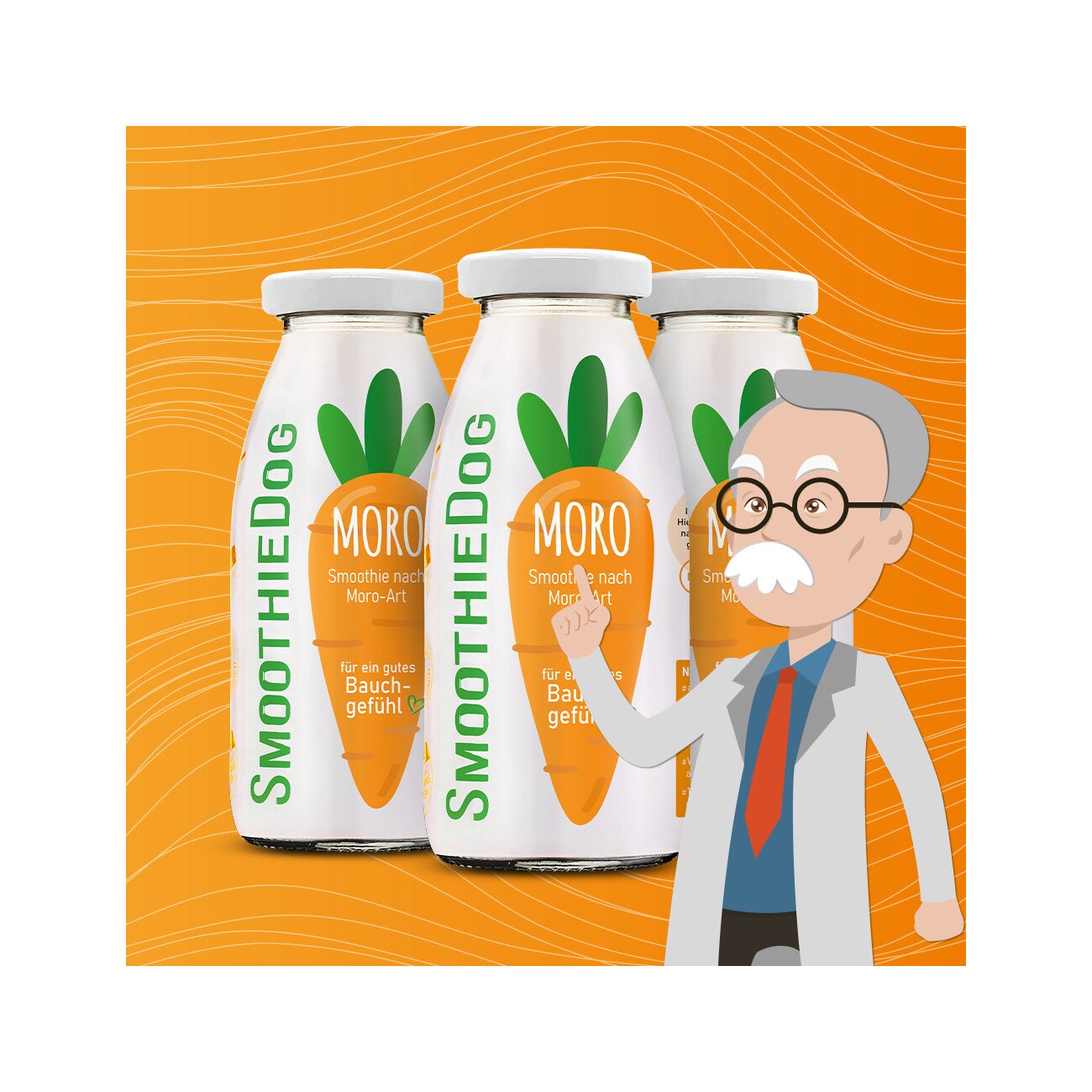 SmoothieDog Morosche Karottensuppe 6x250 ml