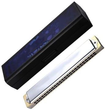Metalen 24 Holes Professionele Polyfone Mondharmonica Voor Volwassenen In G Toonsoort En Andere Tonen mondharmonica Professioneel Instrument(24 hole C 2)