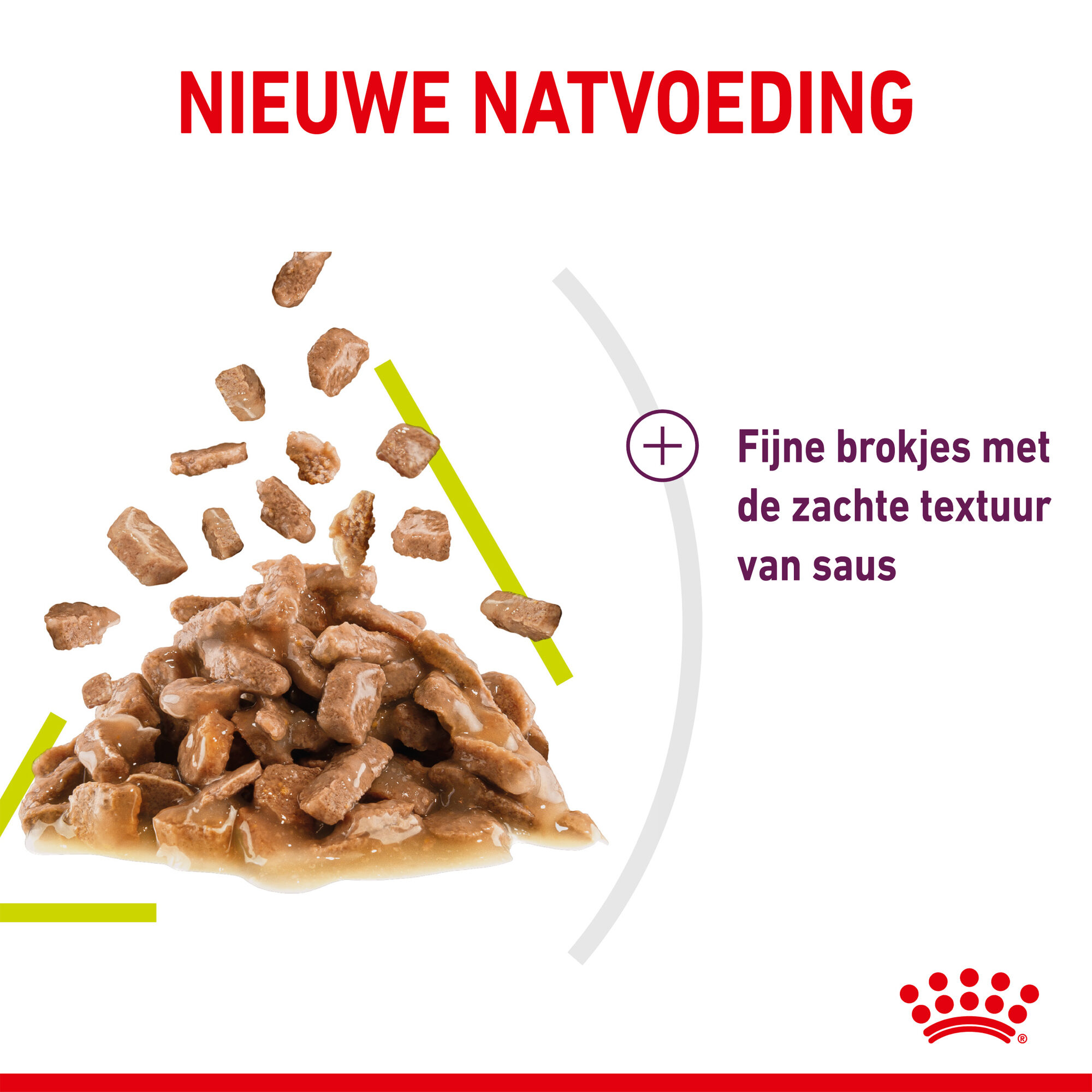 Royal Canin FHN Sensory Smell In Gravy