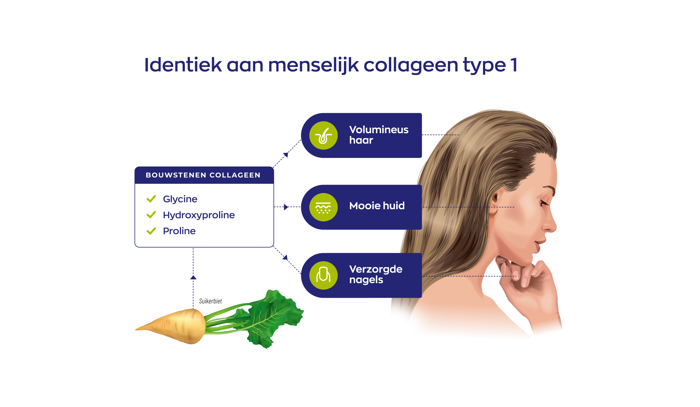 Vegan Collageen Builder