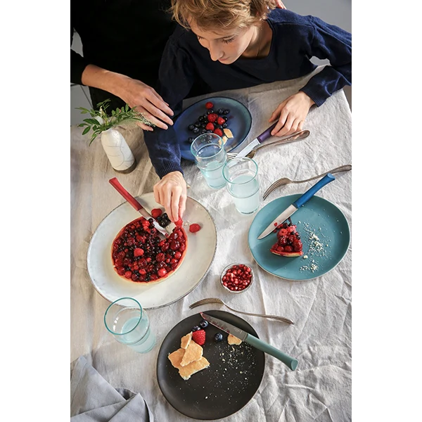 Coffret 4 couteaux de table Glam Opinel