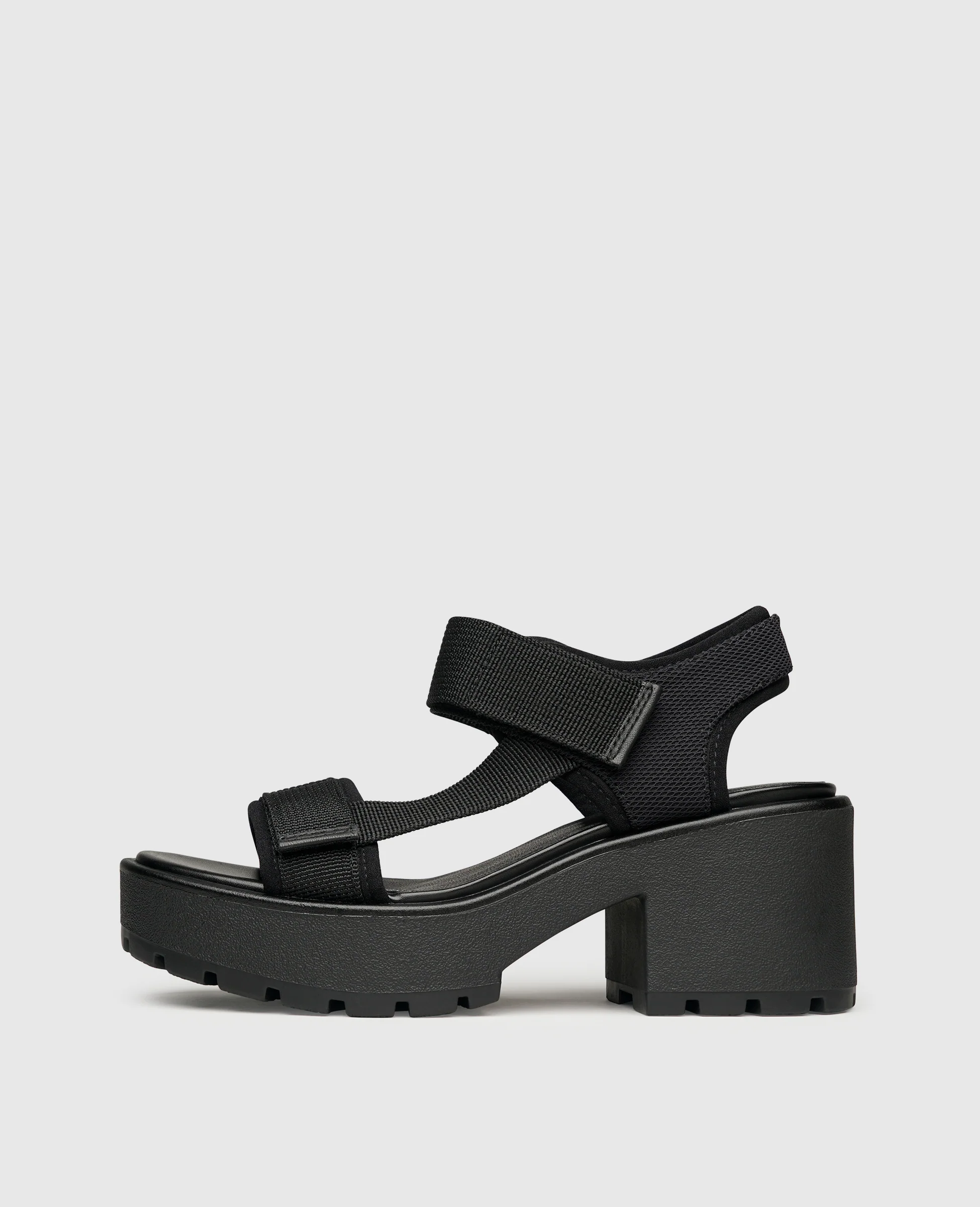Dioon