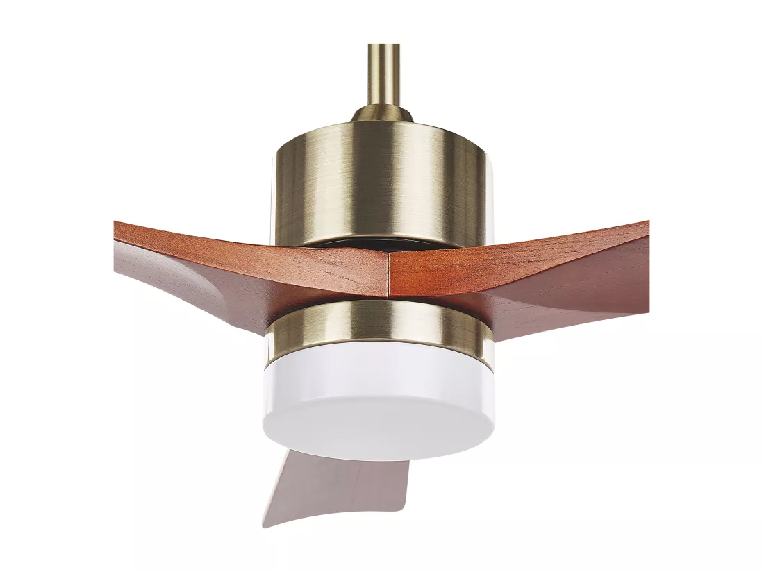 Ventilateur de plafond avec lampe ARUWIMI Avec télécommande Laiton