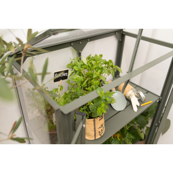 Royal Well Urban Grower Medium