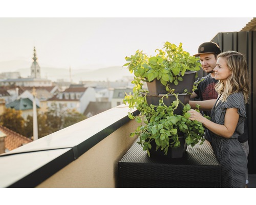 Aardappeltoren Gusta Tuin Plantenpot Starterset Paul Aardappel met 4 Lagen