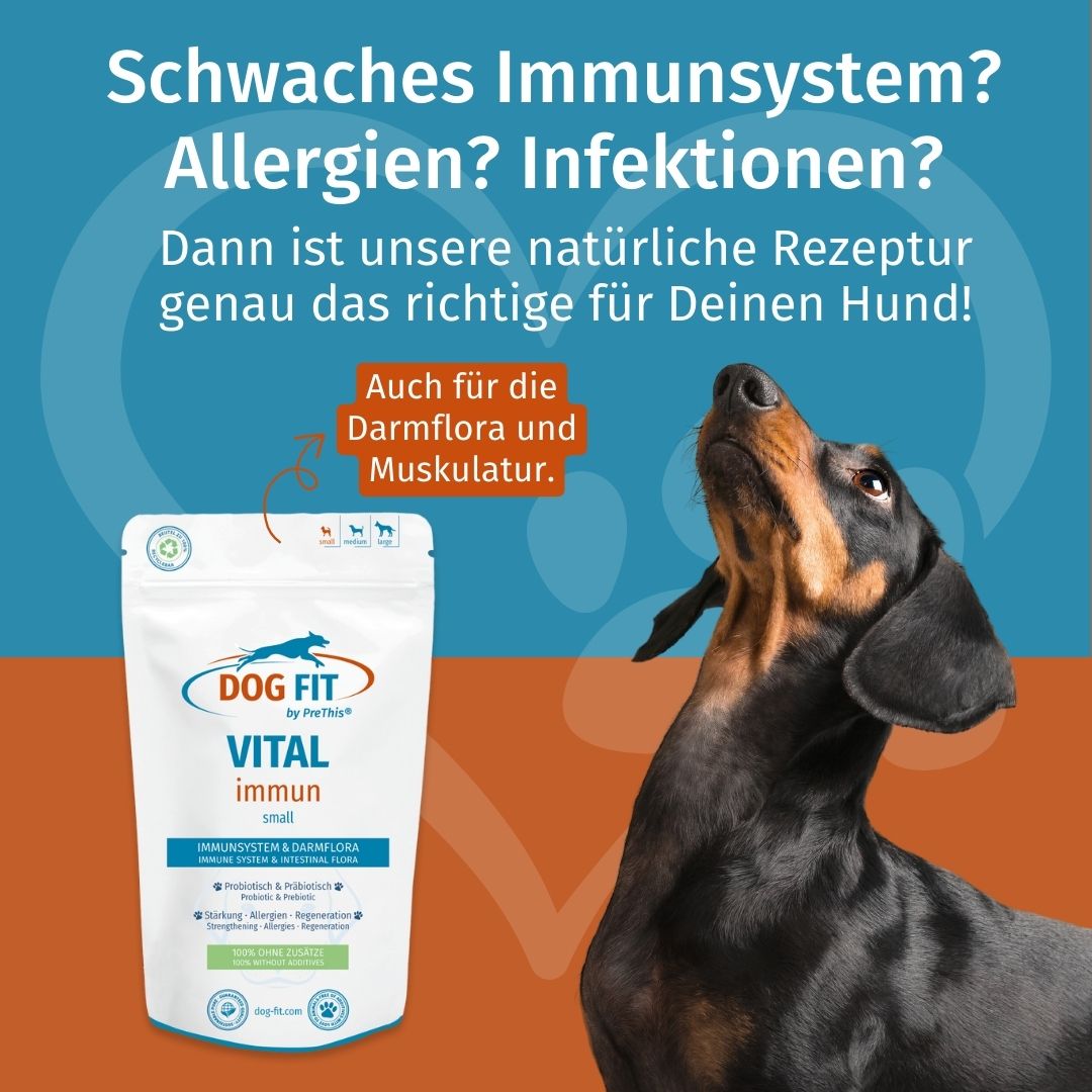 DOG FIT by PreThis® VITAL immun für Hunde » Stärkung, Darmaufbau, bei Allergien (small)