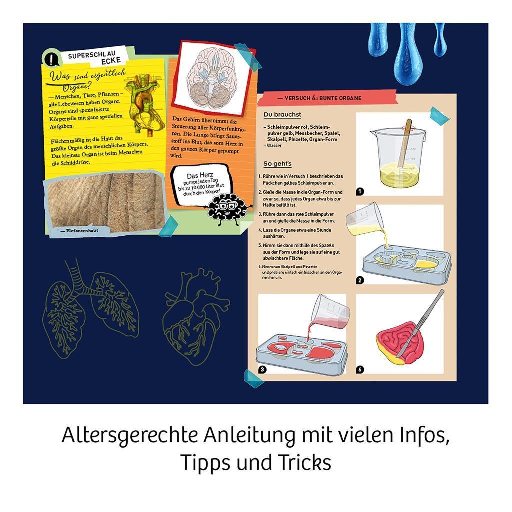 Experimentierkasten FUN SCIENCE – GLIBBER-ORGANE