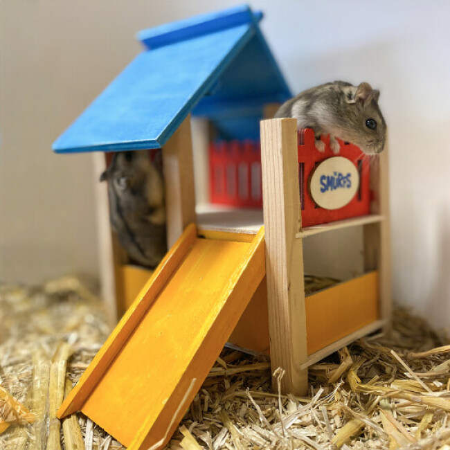 Maison Terrain de jeu Schtroumpfs pour petits rongeurs