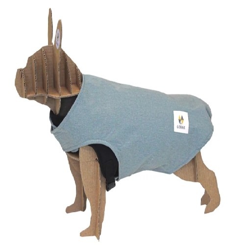 Capa de chuva Siberia para cães, verde menta