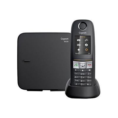 Gigaset E630 - téléphone sans fil - argent