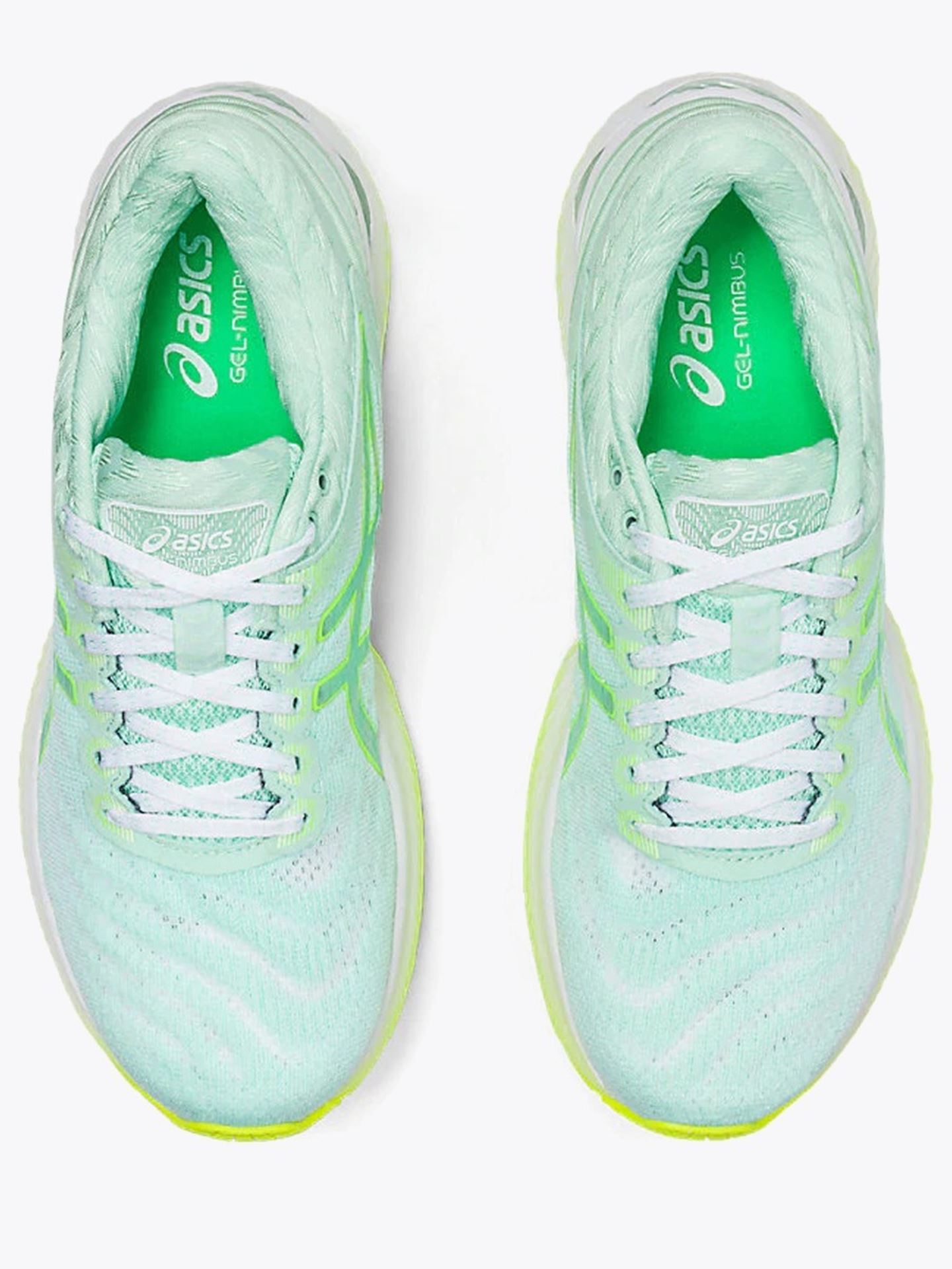 Gel-Nimbus 22