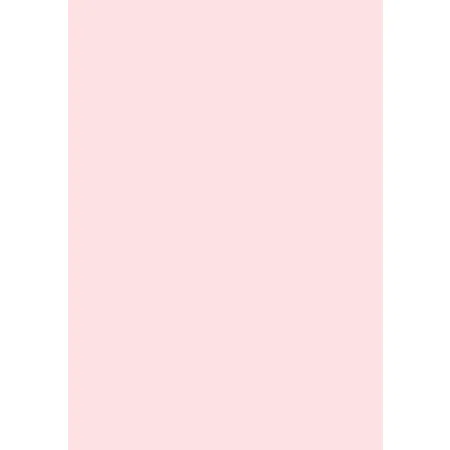 Livepac-Office 100 Blatt farbiges Druckerpapier / buntes Kopierpapier / Farbe: hellrosa