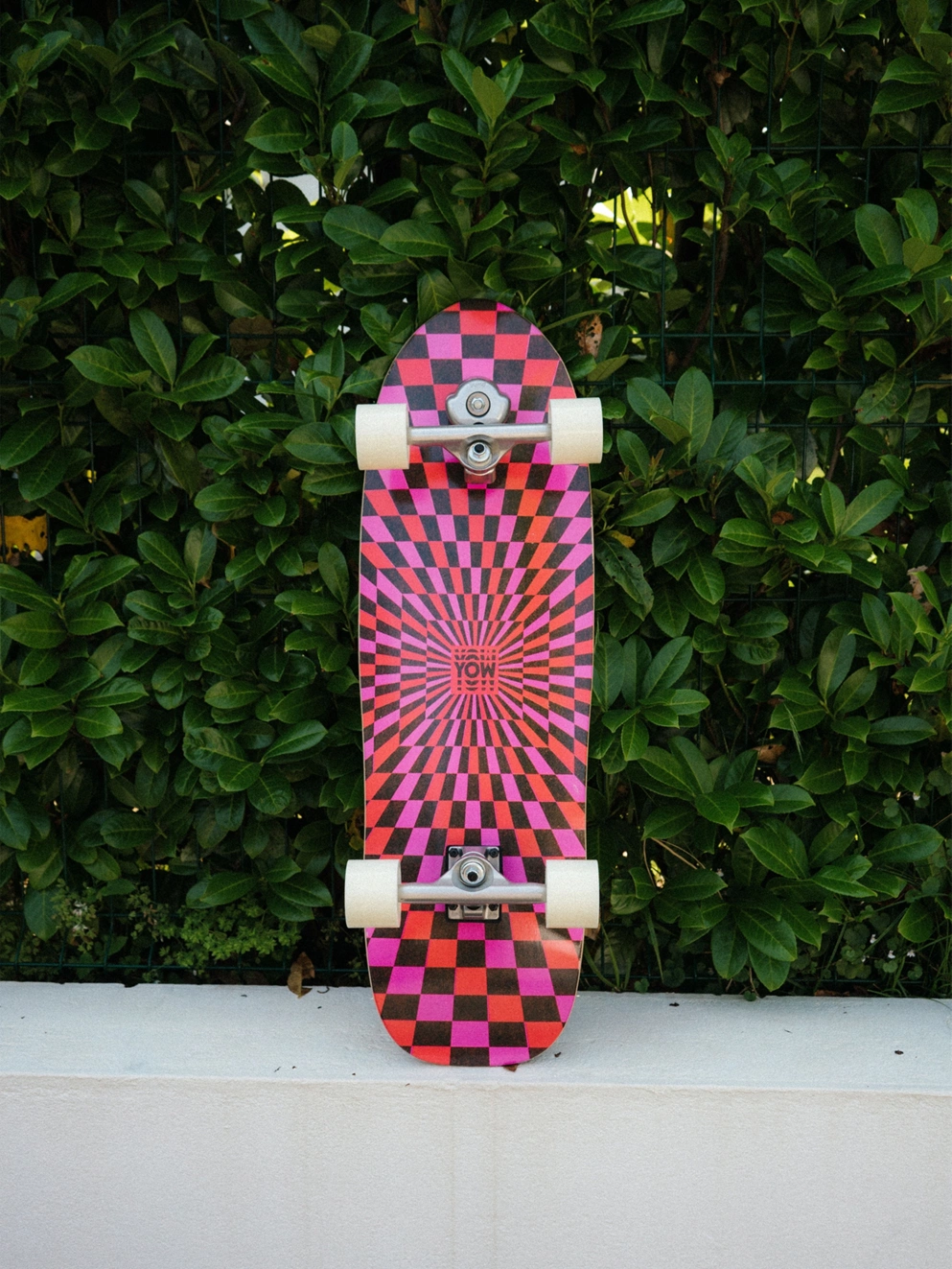 YOW Snappers X Julia Schimautz 32.5