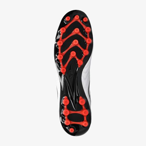 Copa Joma Águila Fg