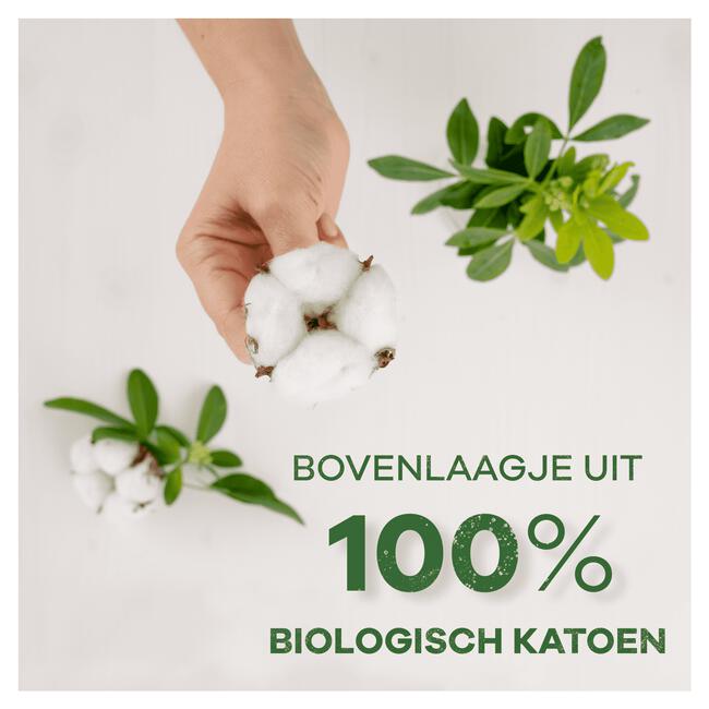 Always Dailies Cotton Protection Inlegkruisjes Normal 38 Stuks