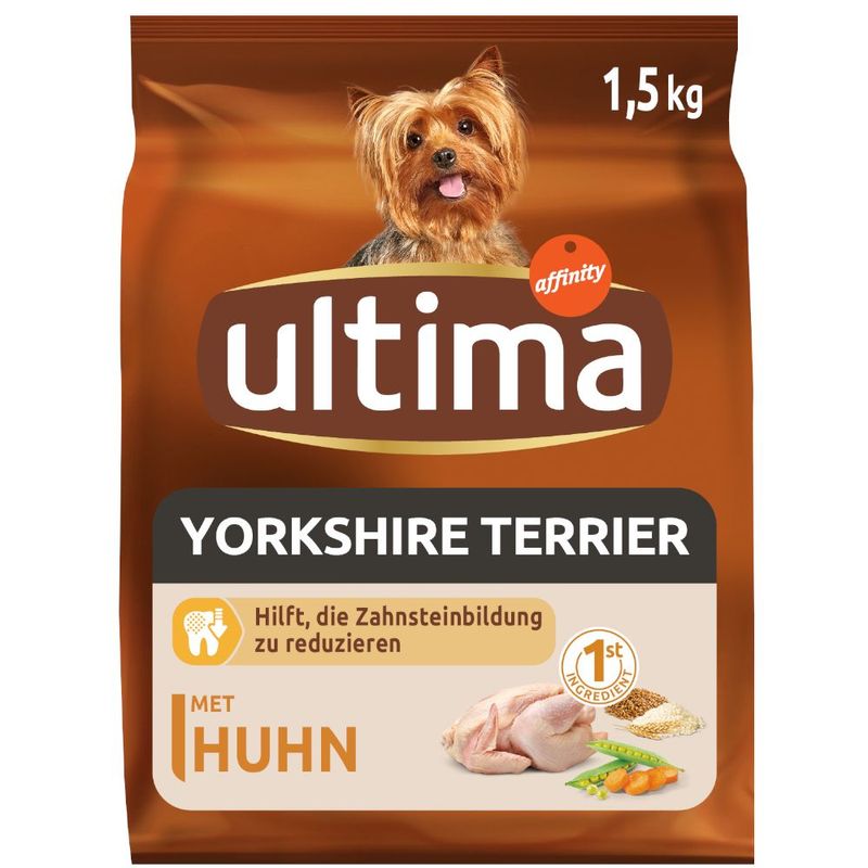 Ultima Dog Yorkshire