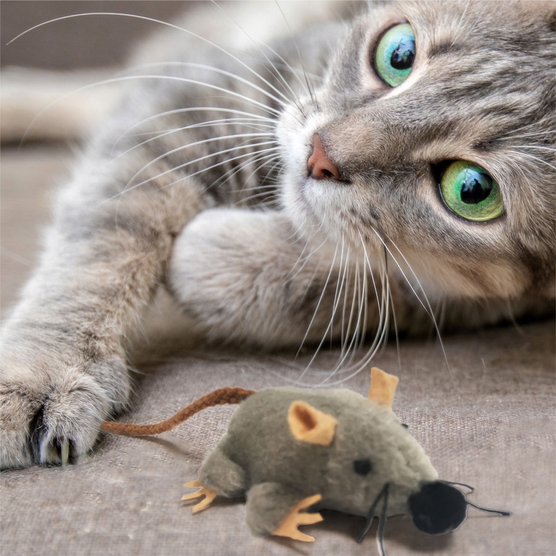 Jouet pour chat souris peluche