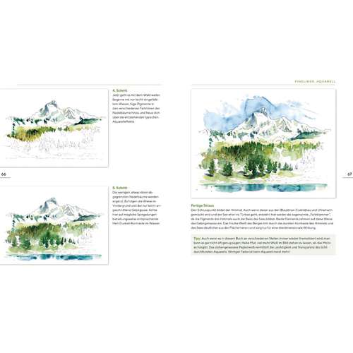 Nature Sketching Step by Step