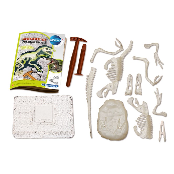 Galileo - Ausgrabungs-Set Velociraptor - Clementoni