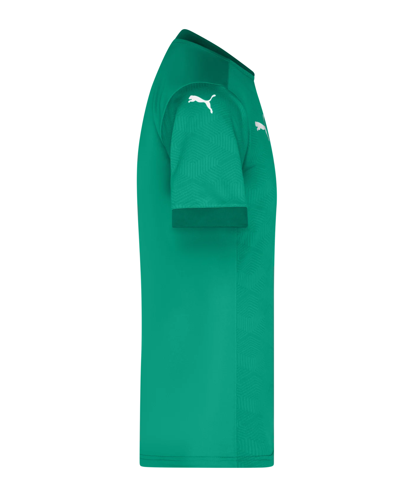 PUMA teamGOAL 23 Trikot kurzarm Grün F05