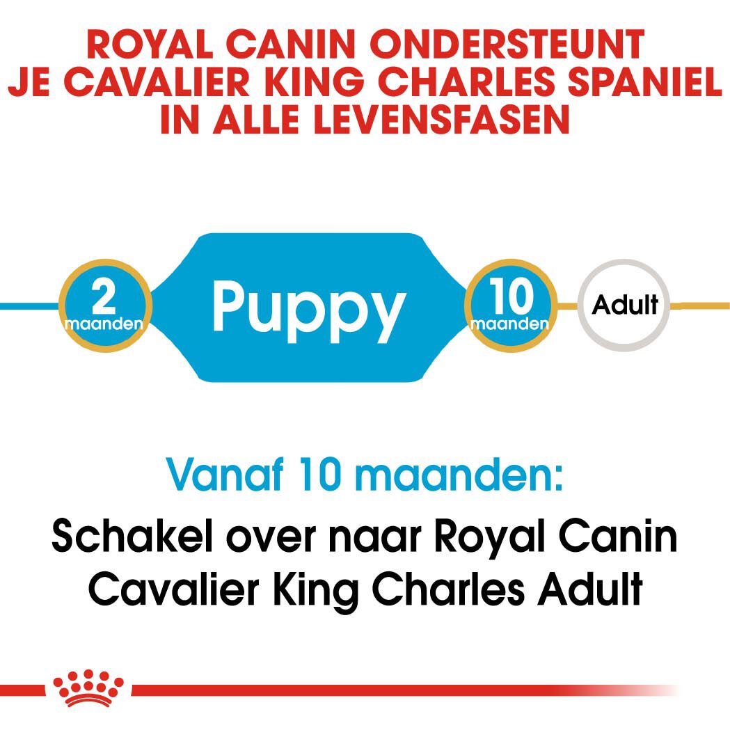 Royal Canin Cavalier King Charles Puppy - Hondenvoer - 1.5 Kilogram - gevogelte