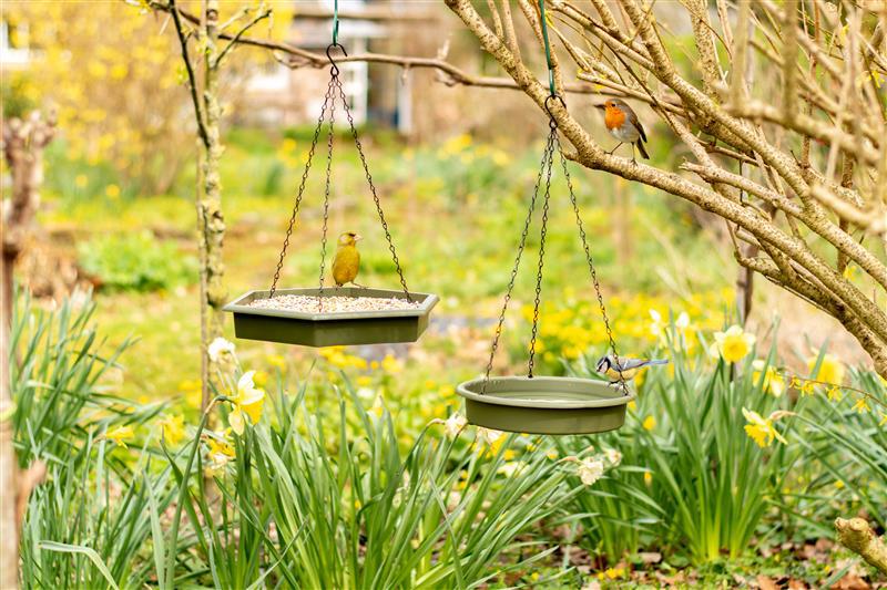 CJ Wildlife vogelbad groen duoset D 32 H 5 cm