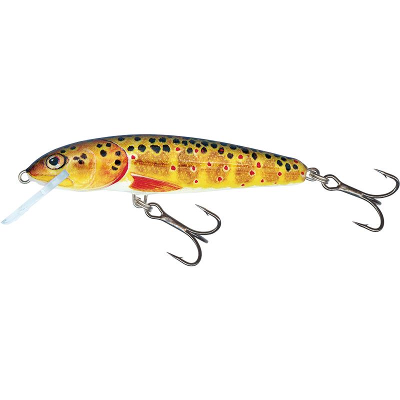 Leurre Coulant Salmo Minnow - 6Cm