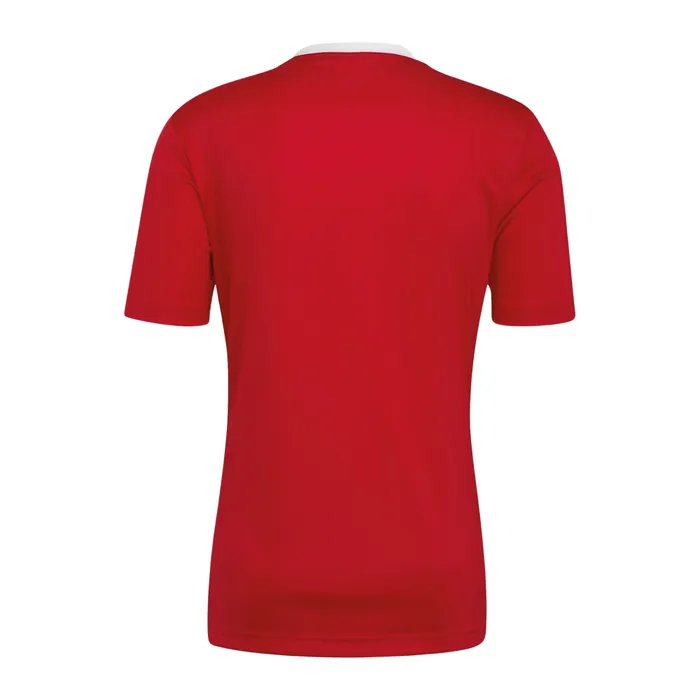 Adidas Entrada 22 SS Shirt Heren