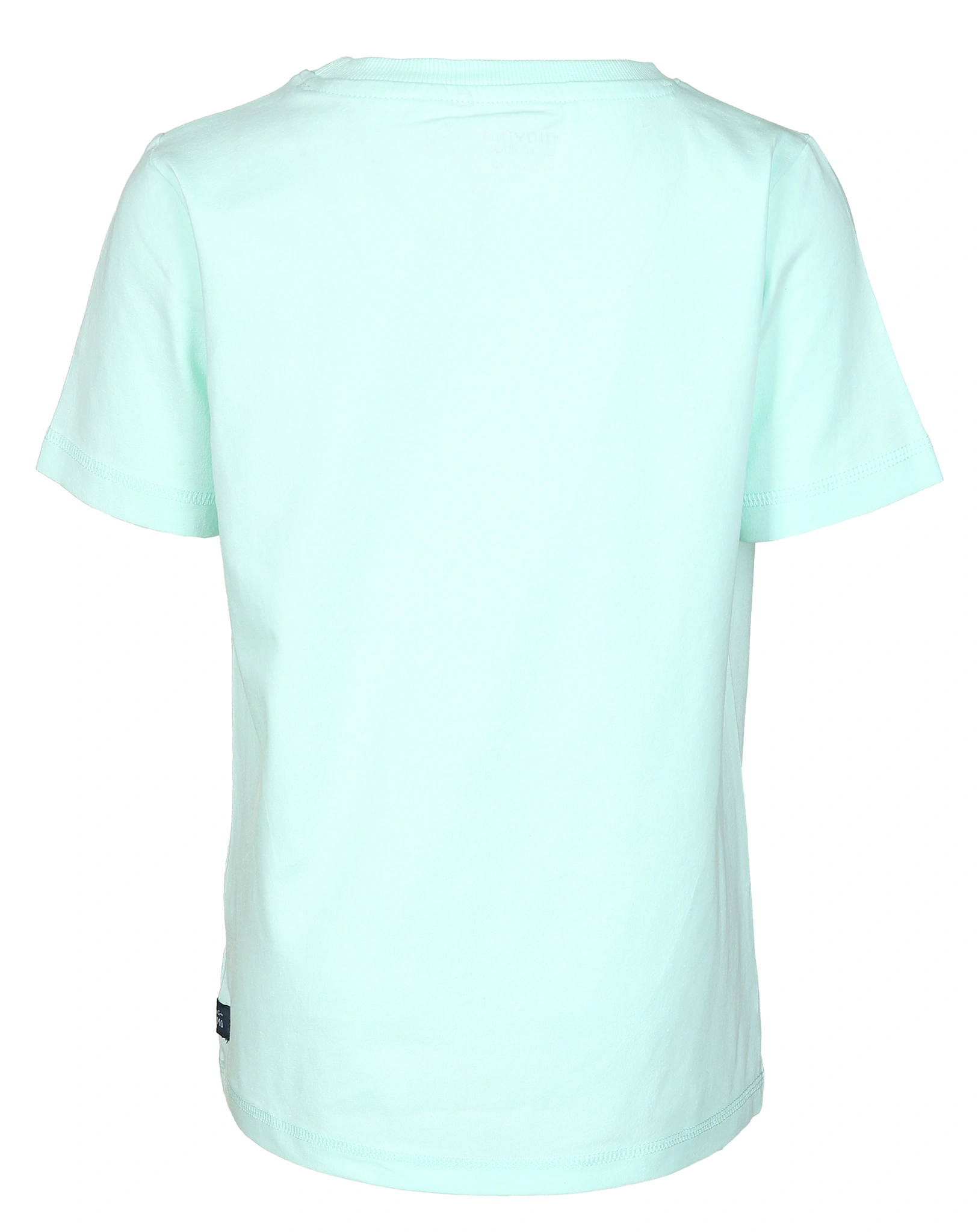T-Shirt SUMMER TIGER in brook green