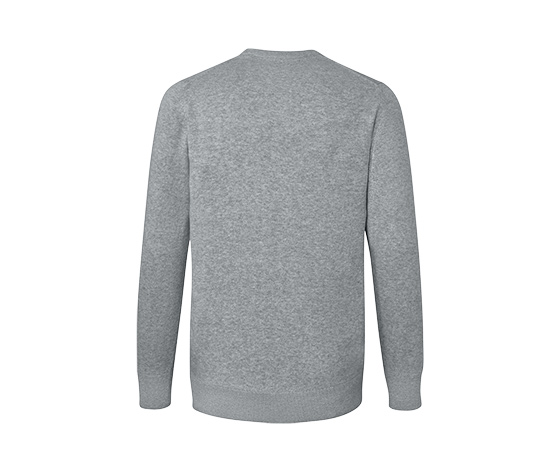 Pullover mit Rundhalsausschnitt, grau