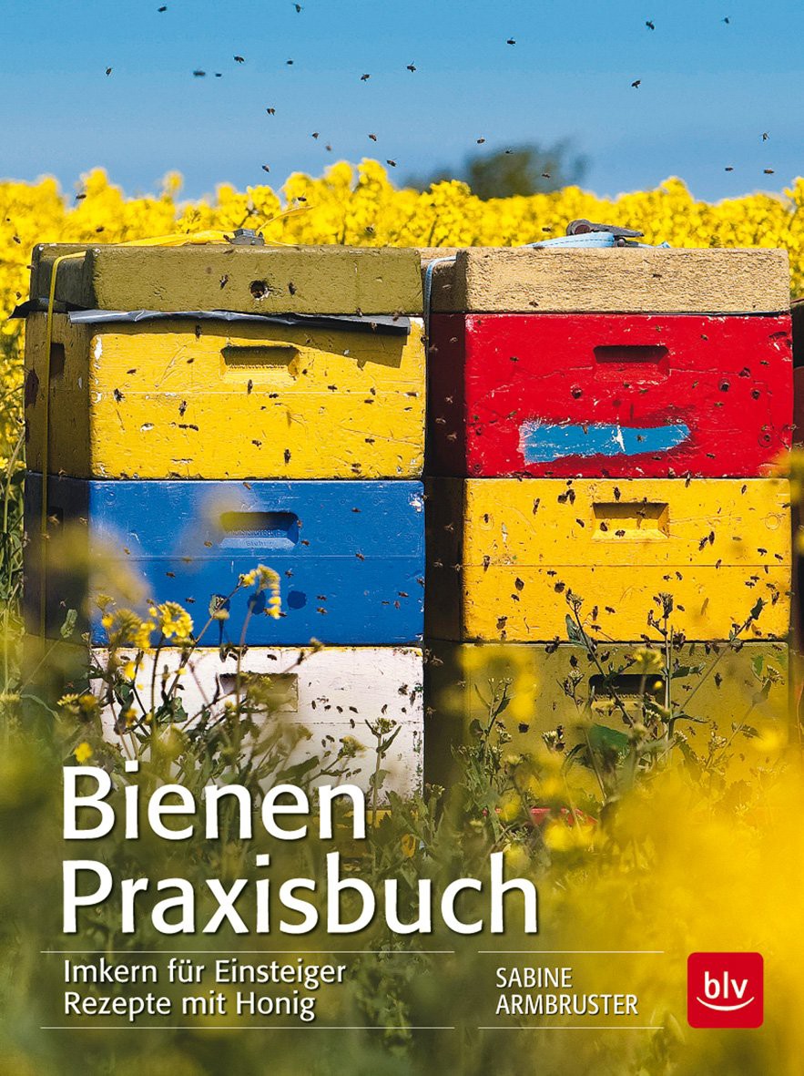 Buch 'Bienen Praxisbuch', Imkern für Einsteiger günstig bestellen