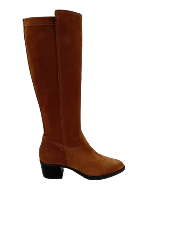 DL Sport 6426 Camel (vers 02)