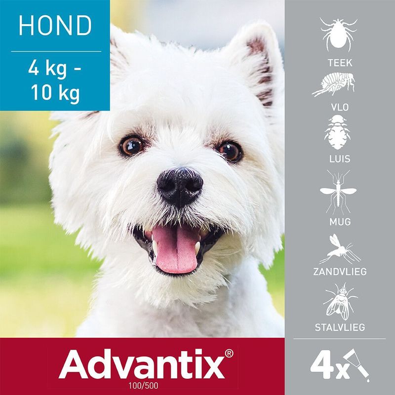 Advantix® 100/500 Pipetten voor Honden - 4-10kg - 4 Stuks