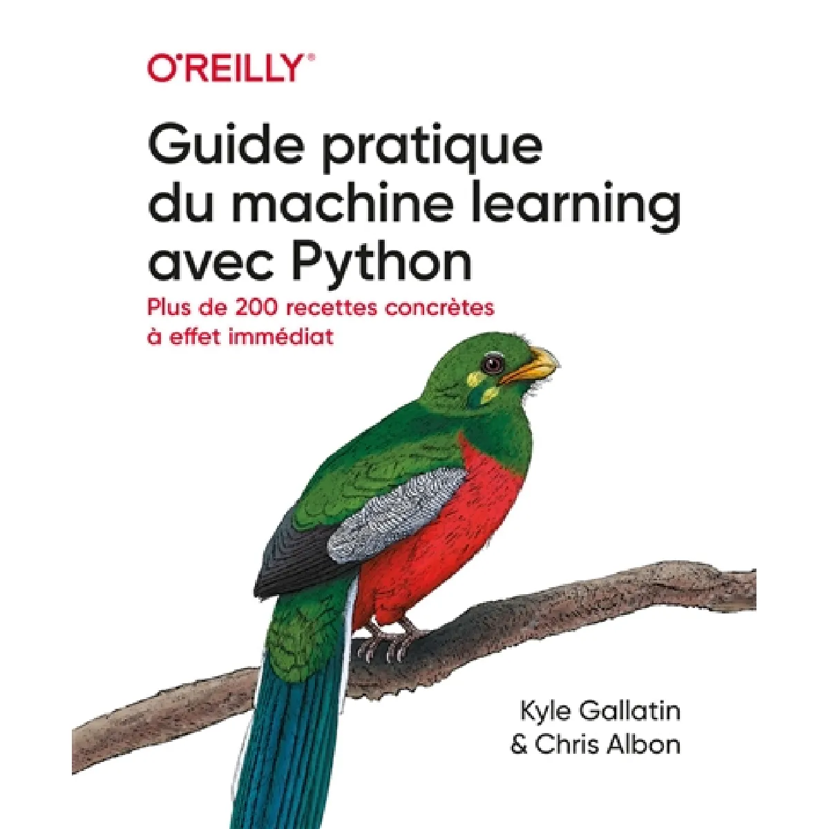 Guide pratique du machine learning avec Python : plus de 200 recettes concrètes à effet immédiat