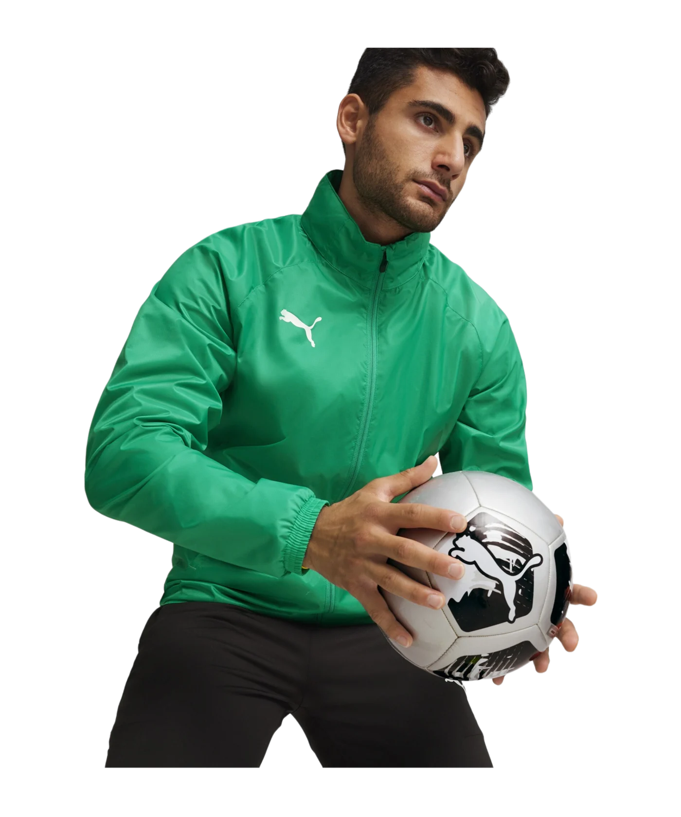 PUMA teamGOAL Allwetterjacke Grün Weiss F05