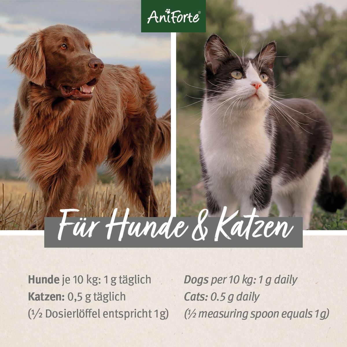 AniForte Bierhefe Pulver