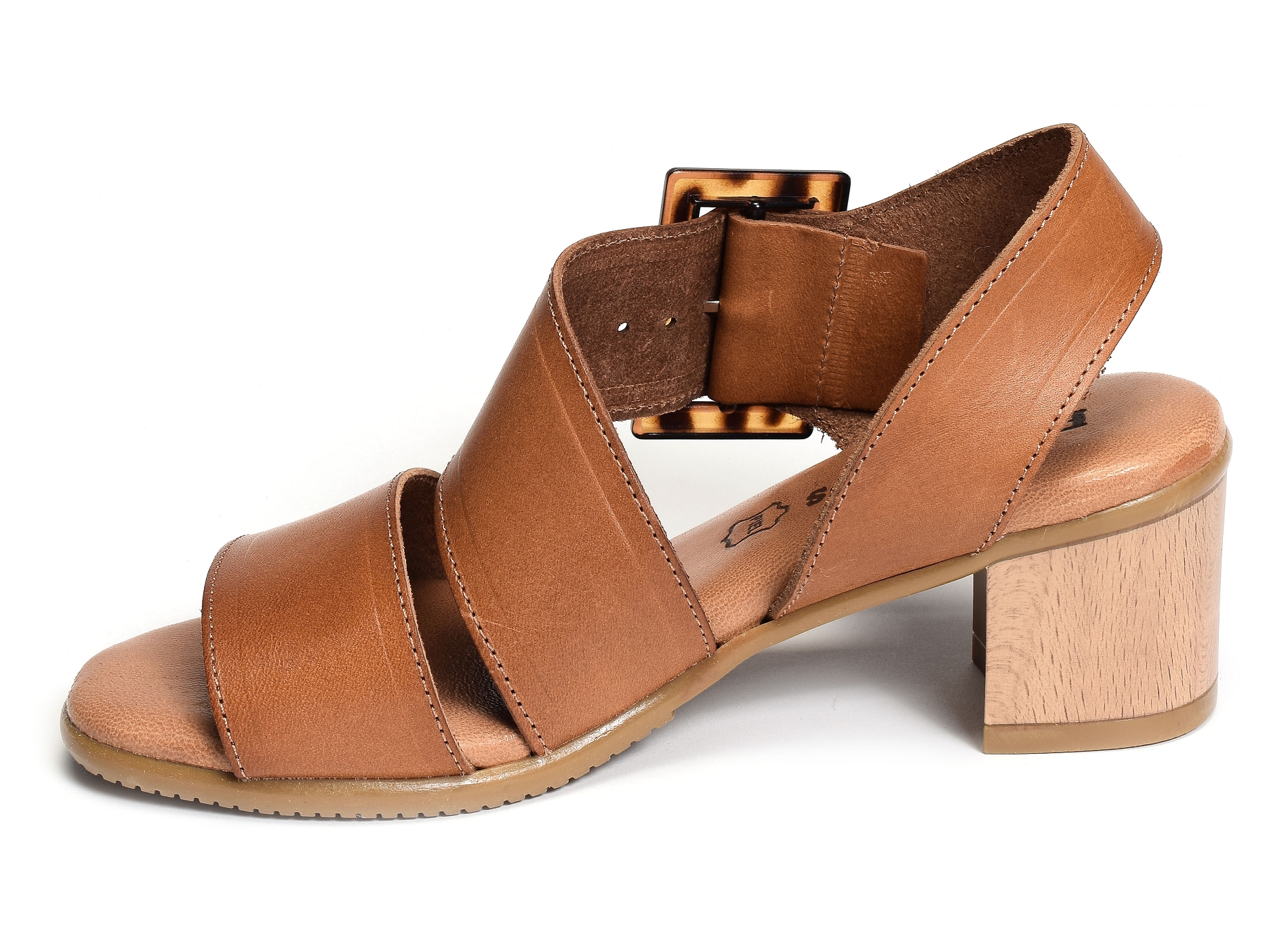 1418 camel