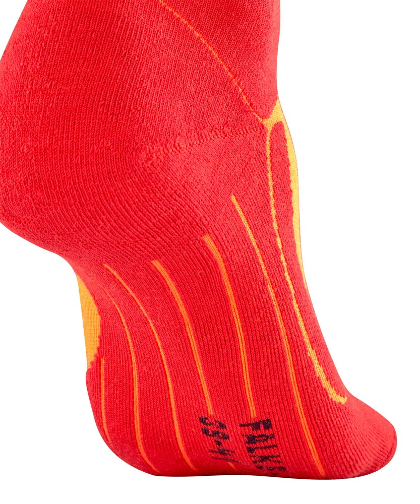 FALKE  SK4 Men