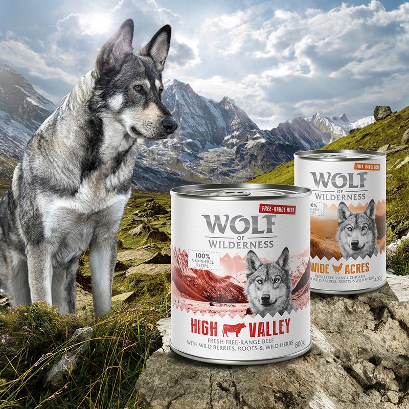 Wolf of Wilderness Free Range 24 x 400 g pour chien