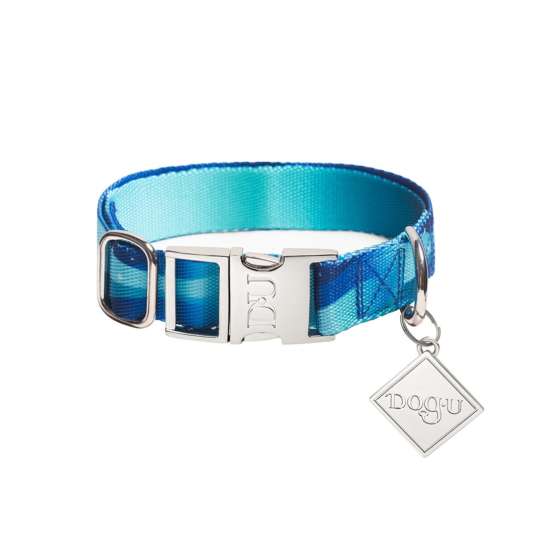 Coleira para cachorro - Boreal - Ciano