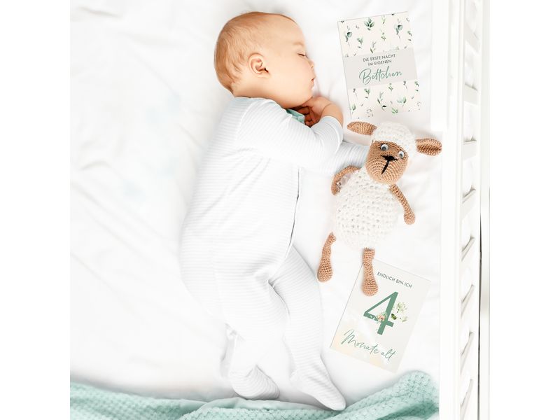 Eulentaler Baby-Meilensteinkarten Pflanzen Meilensteinkarten «Ein Jahr voller Wunder»