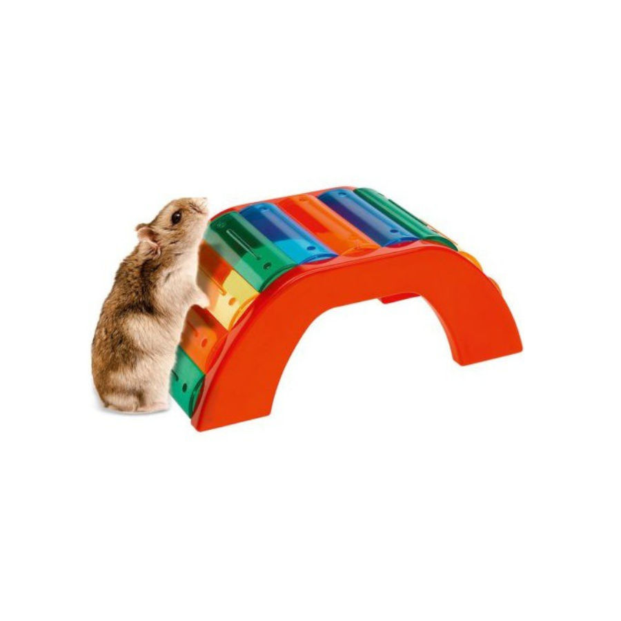 Ponte multicolorida Ferplast para hamsters