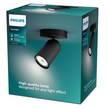 Philips opbouwspot Pongee zwart
