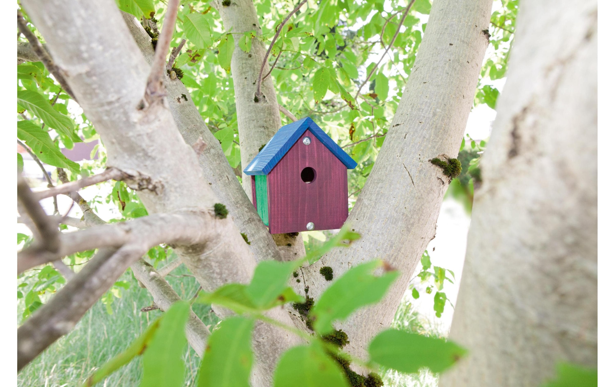 Windhager Nistkasten »Bausatz for Kids« Holzart: Buche, Fichte, Pappel (Bulgarien)