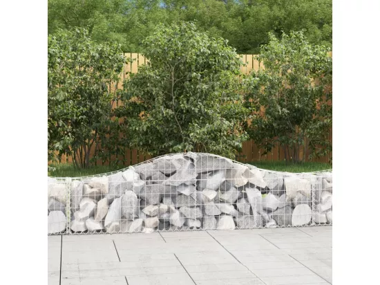 Paniers à gabions arqués 18 pcs 200x30x40-60 Fer galvanisé