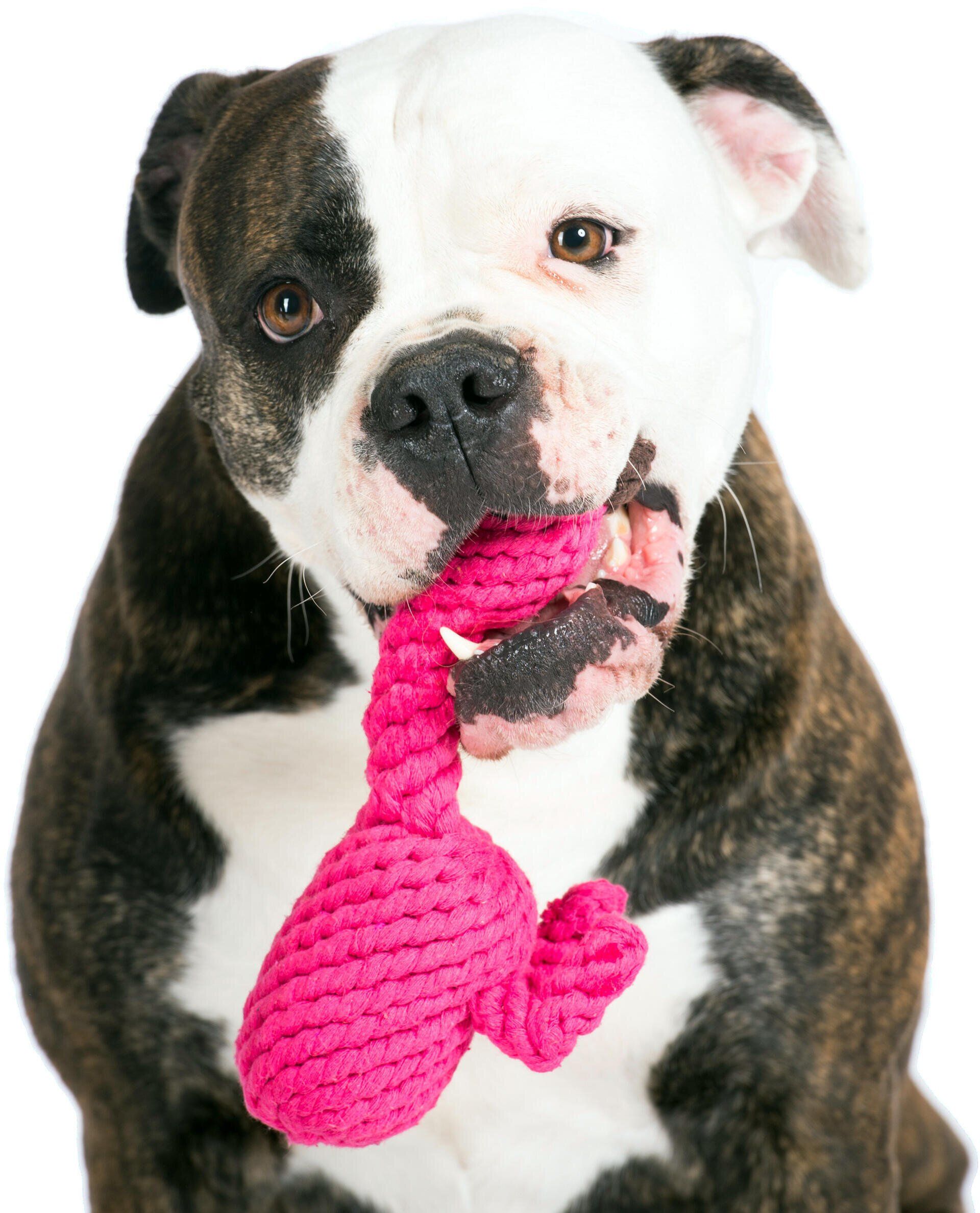 Hundespielzeug Franzi Flamingo - Laboni